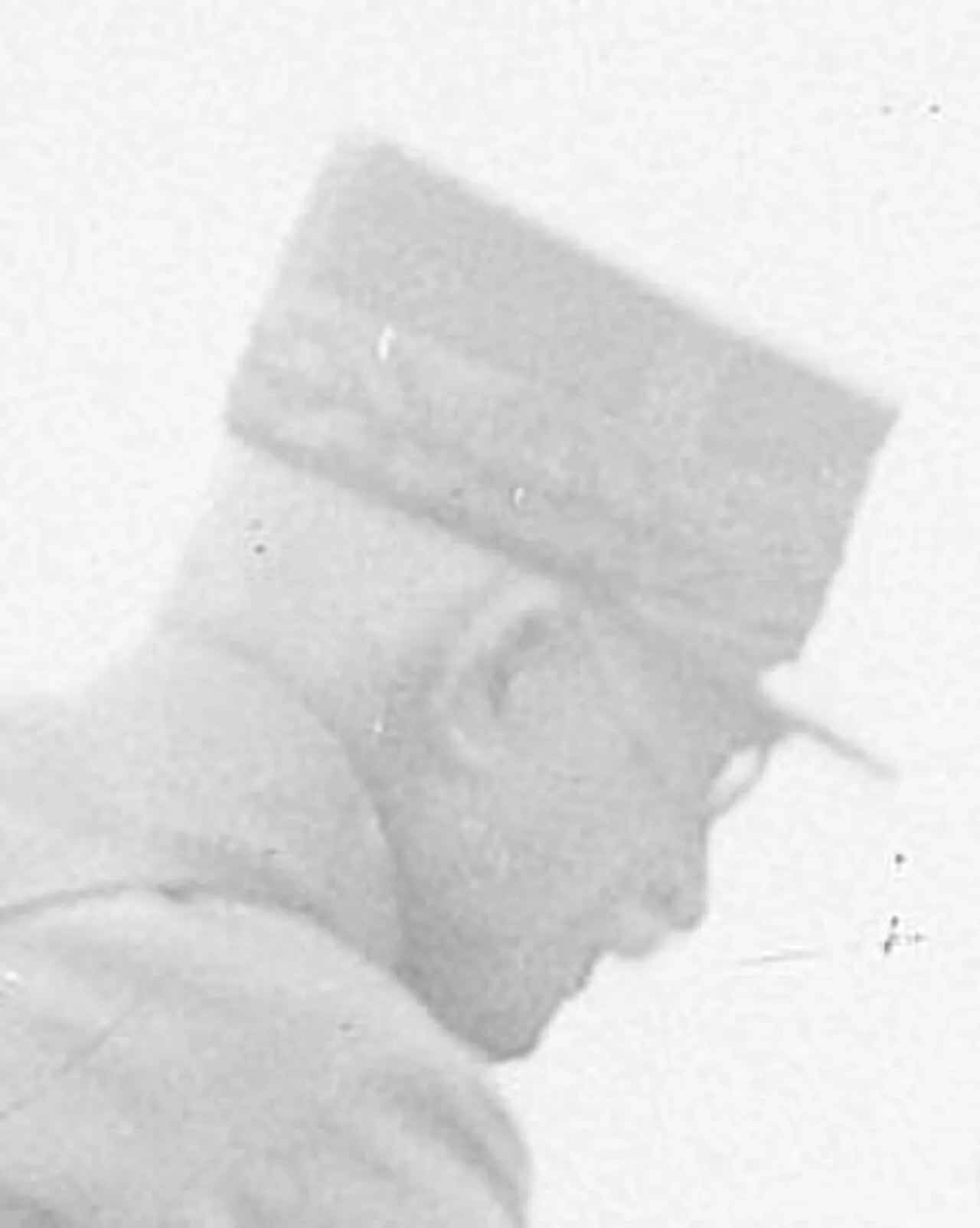 Porträt von Stéphane Victor Pillot (1856–1924) – Gedenkseite