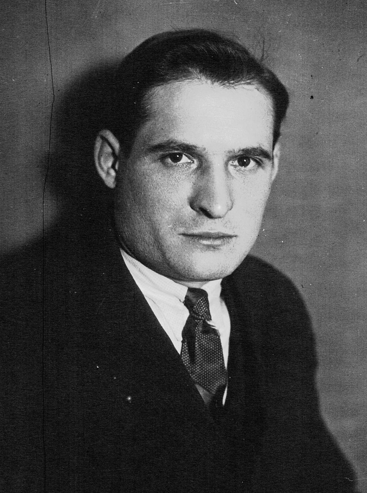 Porträt von Sulpice Dewez (1904–1974) – Gedenkseite