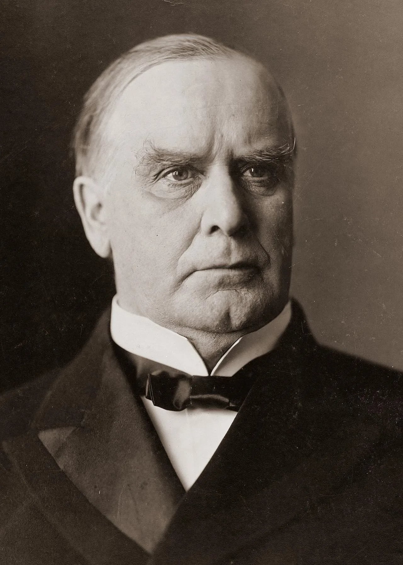 Portrait of William McKinley (1843–1901) – memorial page