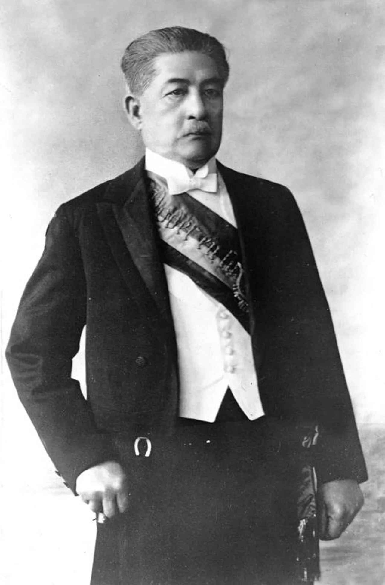 Porträt von José Luis Tamayo (1858–1947) – Gedenkseite