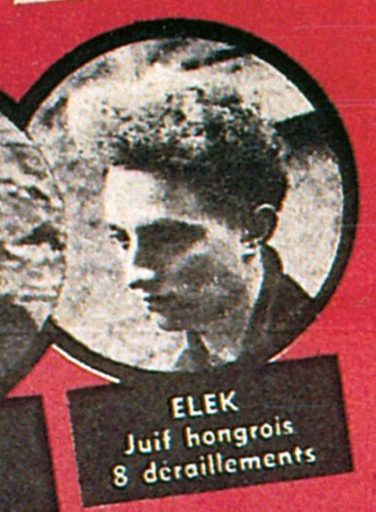 Porträt von Thomas Elek (1924–1944) – Gedenkseite
