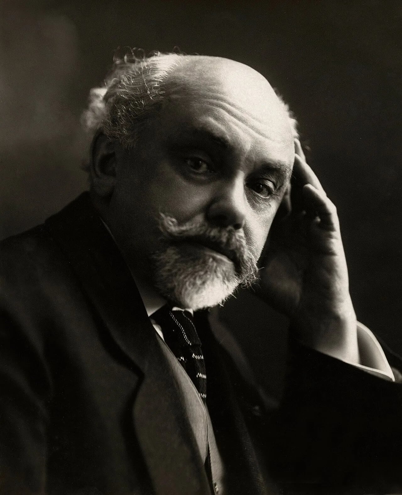 Portrait of Johan de Meester (1860–1931) – memorial page