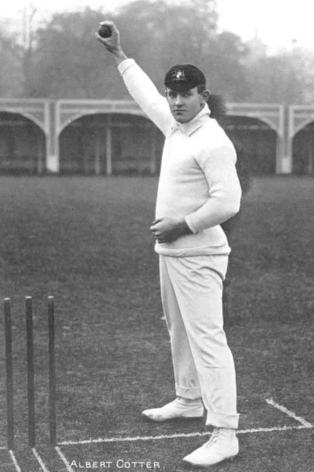 Porträt von Tibby Cotter (1884–1917) – Gedenkseite