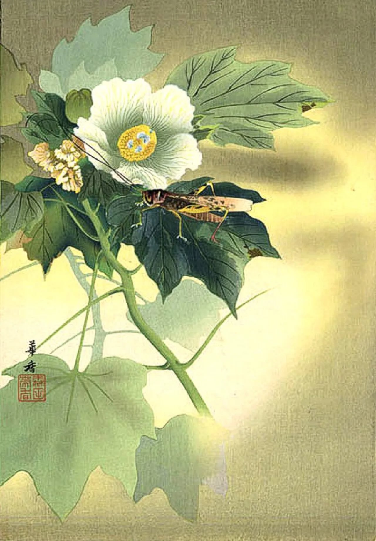 Portrait of Tsuji Kakō (1870–1931) – memorial page