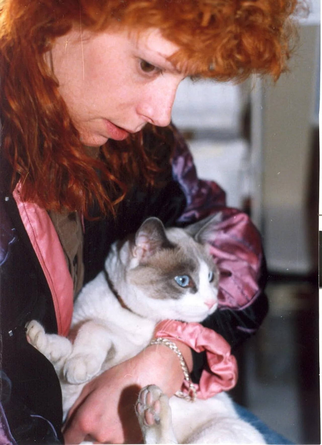 Porträt von Viper (1959–2010) – Gedenkseite