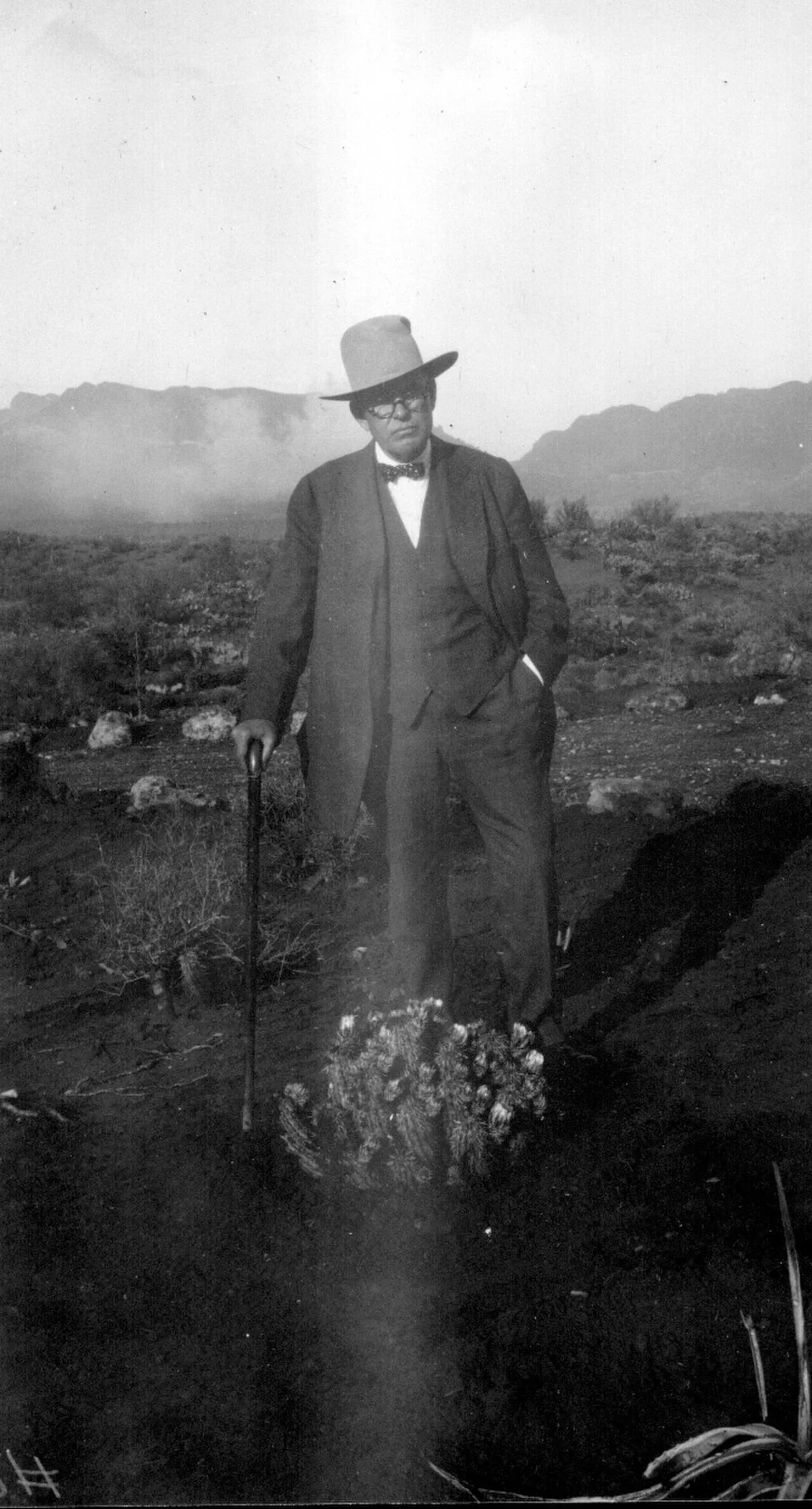 Porträt von William Boyce Thompson (1869–1930) – Gedenkseite