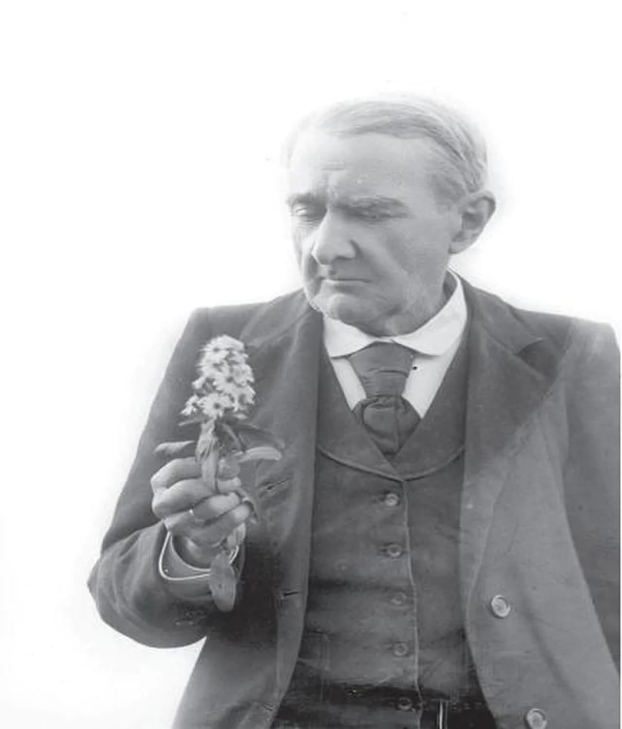 Portrait of José Pardo Sastrón (1822–1909) – memorial page