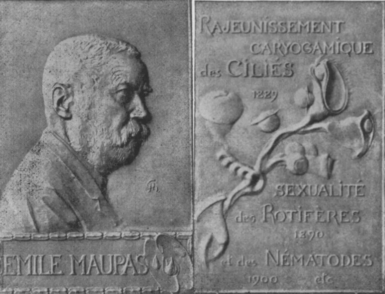 Portrait of Émile Maupas (1842–1916) – memorial page