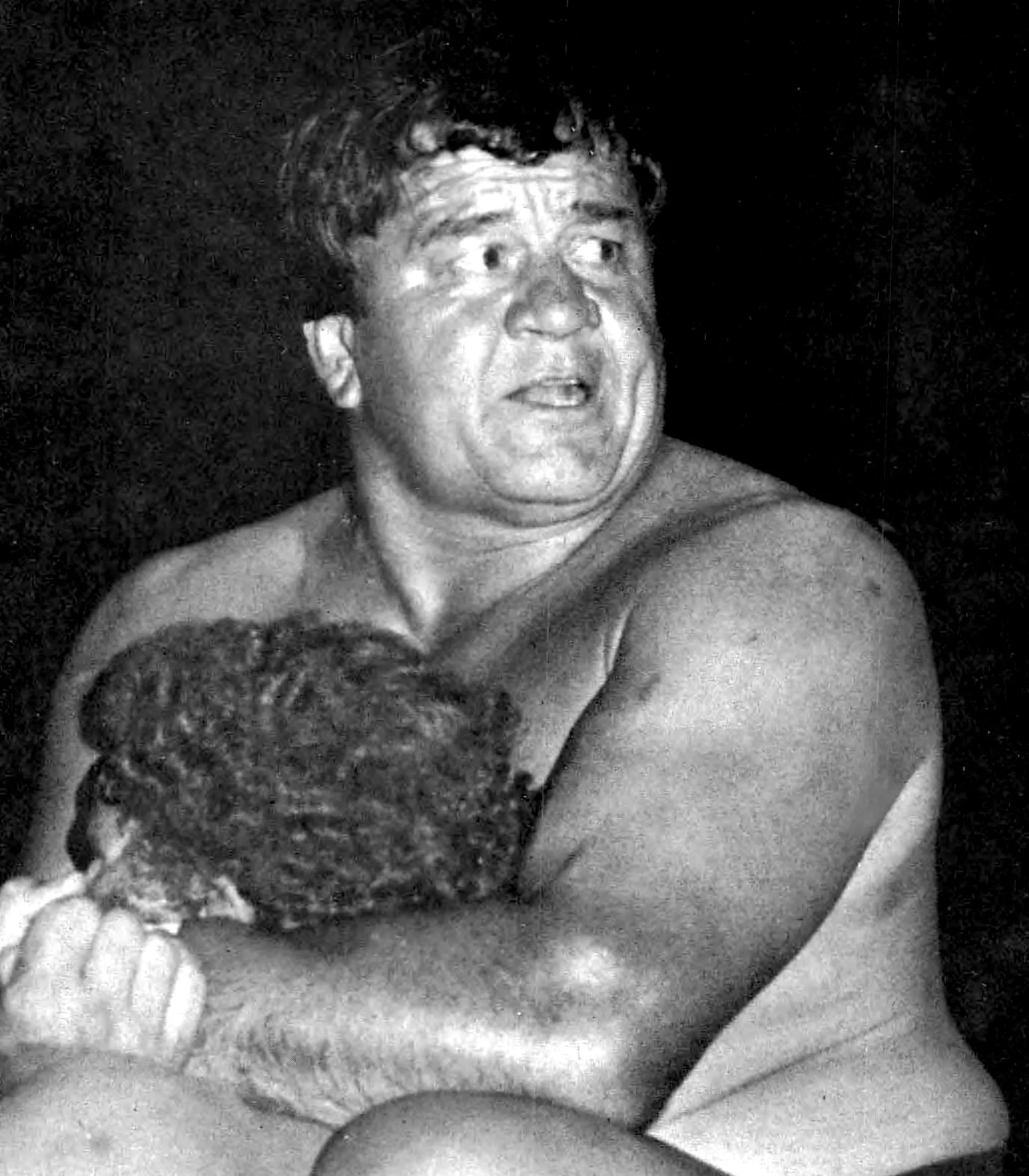 Portrait of Wahoo McDaniel (1938–2002) – memorial page