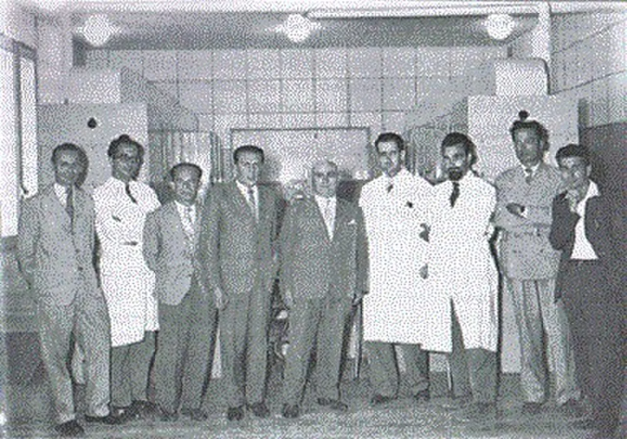 Portrait of Aldo Ghizzetti (1908–1992) – memorial page