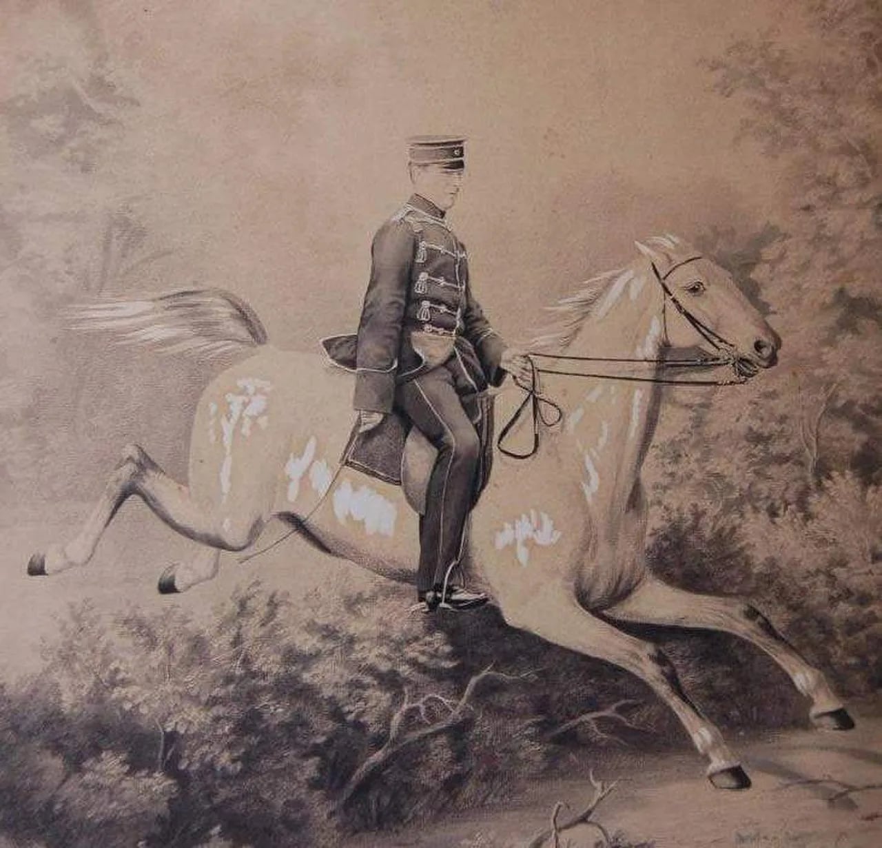 Porträt von Adolf von Massow (1837–1909) – Gedenkseite