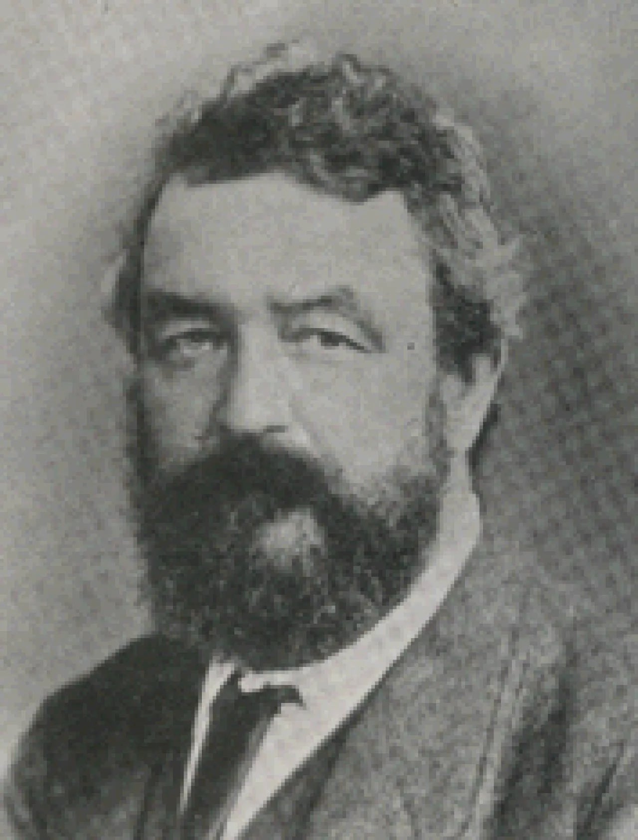 Porträt von Carlo Luzi (1818–1899) – Gedenkseite