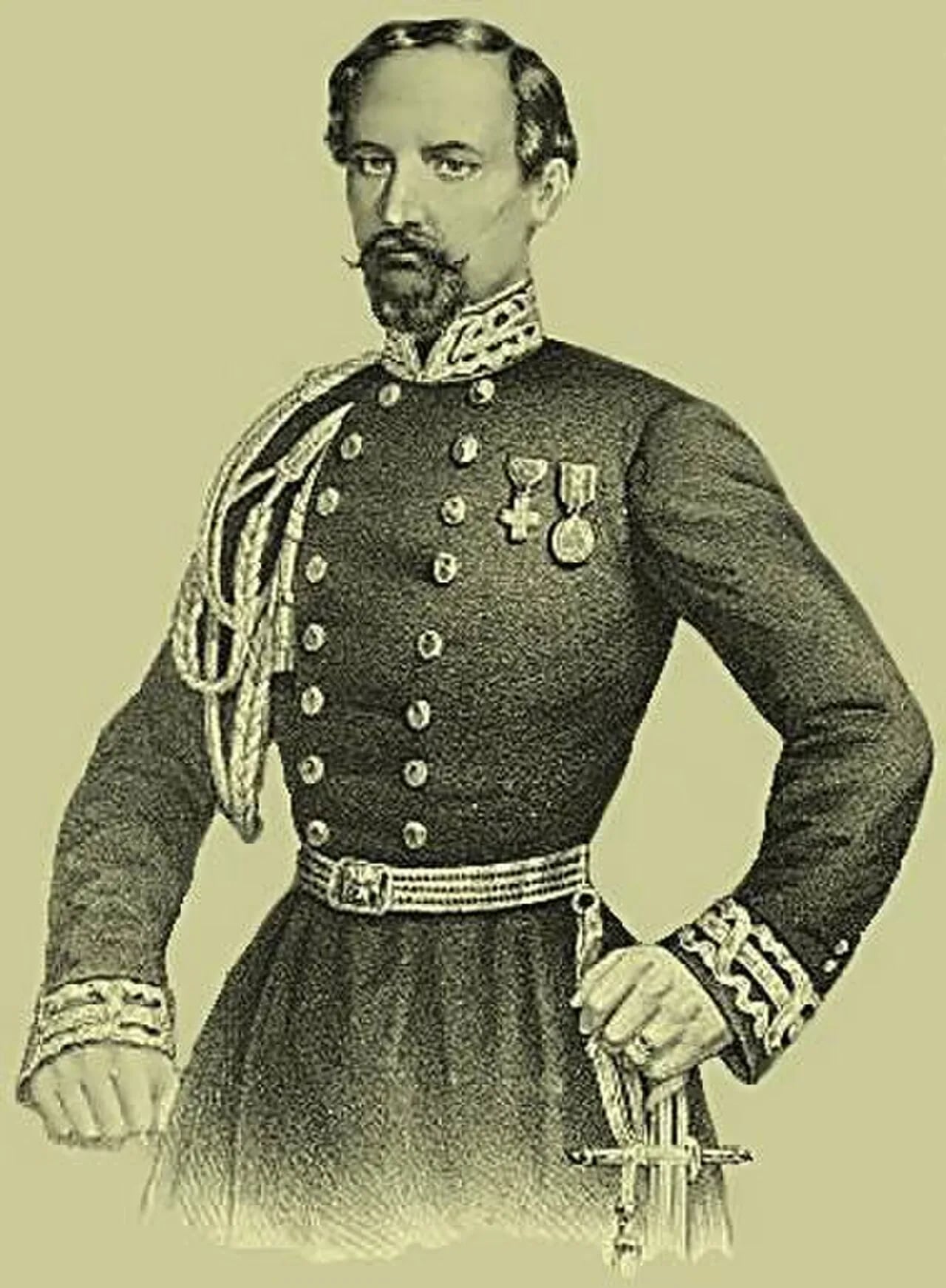 Portrait of Carlo Mezzacapo (1817–1905) – memorial page