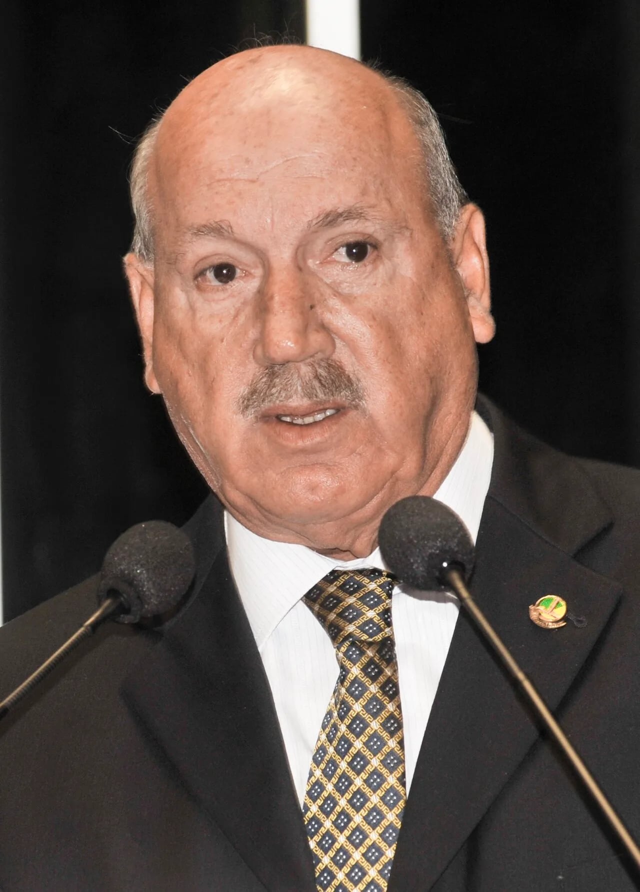 Porträt von Luiz Henrique da Silveira (1940–2015) – Gedenkseite
