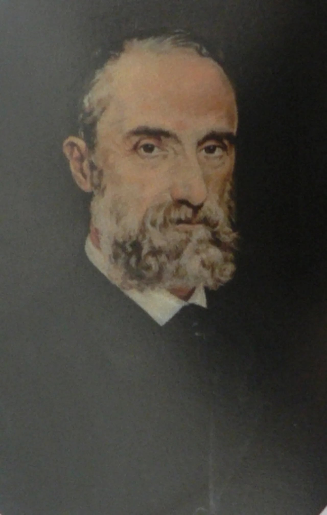 Porträt von Cesare Studiati (1821–1894) – Gedenkseite