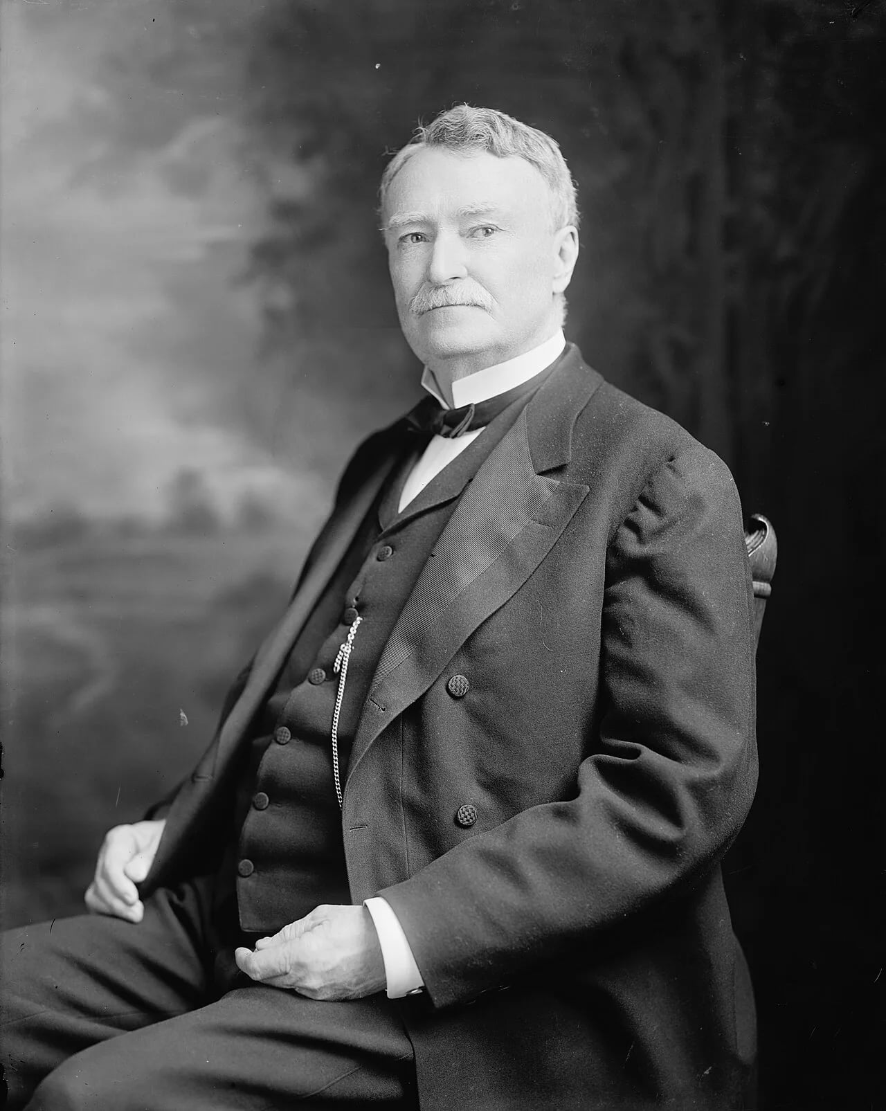 Porträt von Anselm J. McLaurin (1848–1909) – Gedenkseite