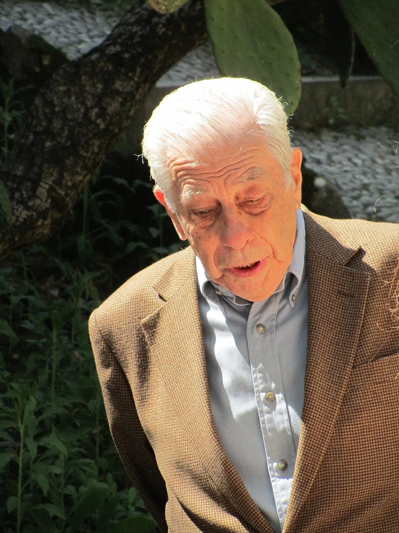 Porträt von Gonçalo Ribeiro Telles (1922–2020) – Gedenkseite