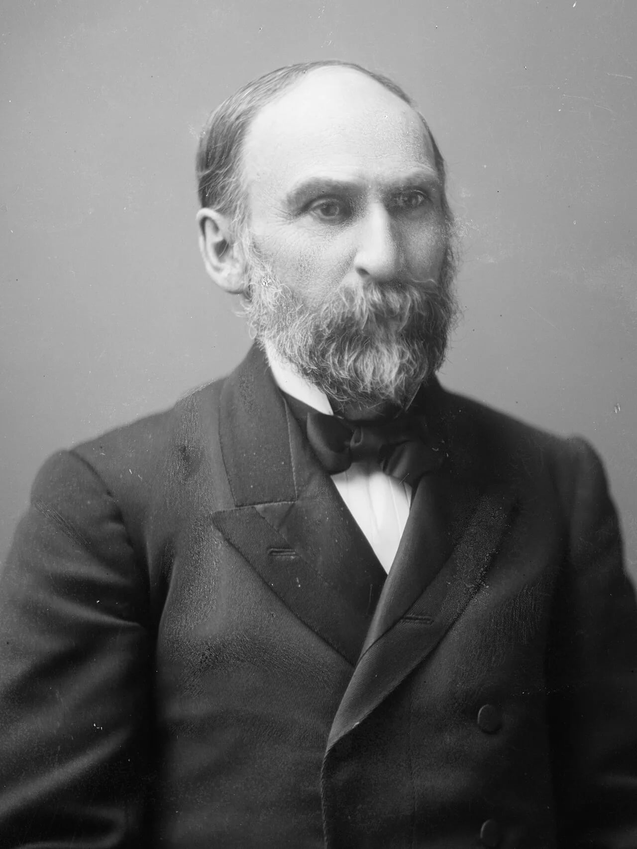 Portrait of Nelson Dingley (1832–1899) – memorial page