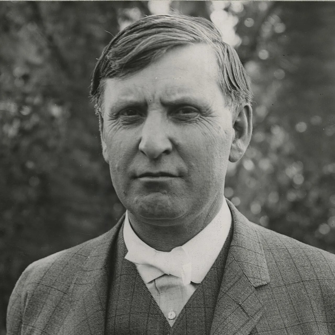 Portrait of Albert E. Mead (1861–1913) – memorial page