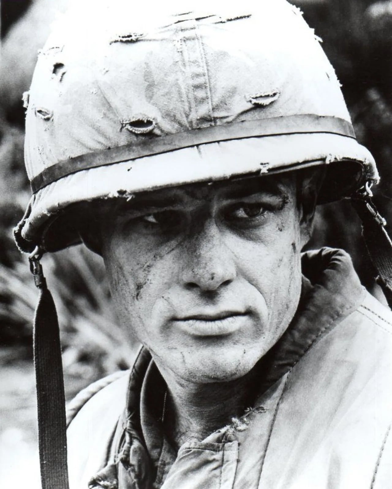 Porträt von Brad Davis (1949–1991) – Gedenkseite