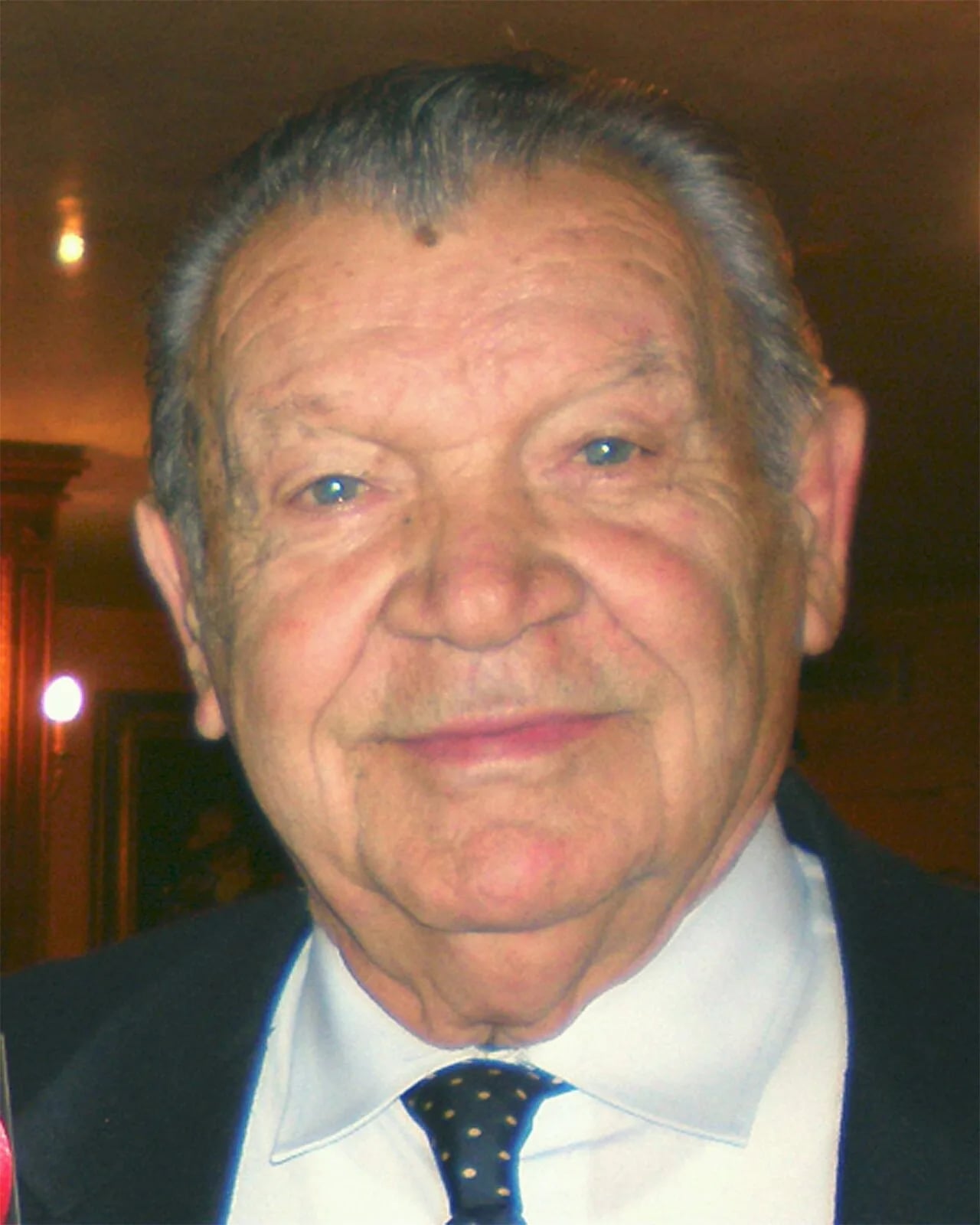 Portrait of Ferruccio Panagini (1929–2010) – memorial page