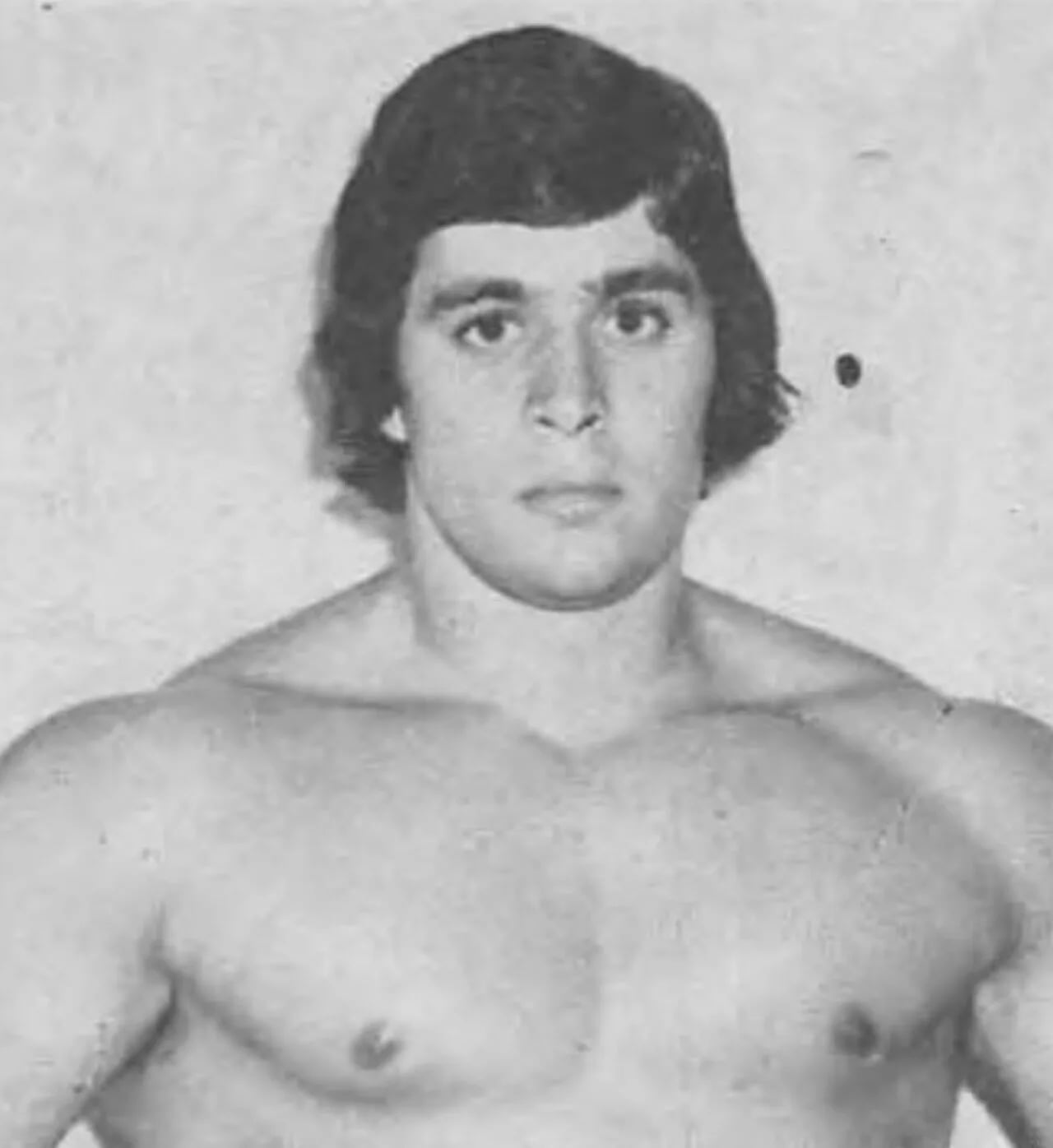 Porträt von Dino Bravo (1948–1993) – Gedenkseite
