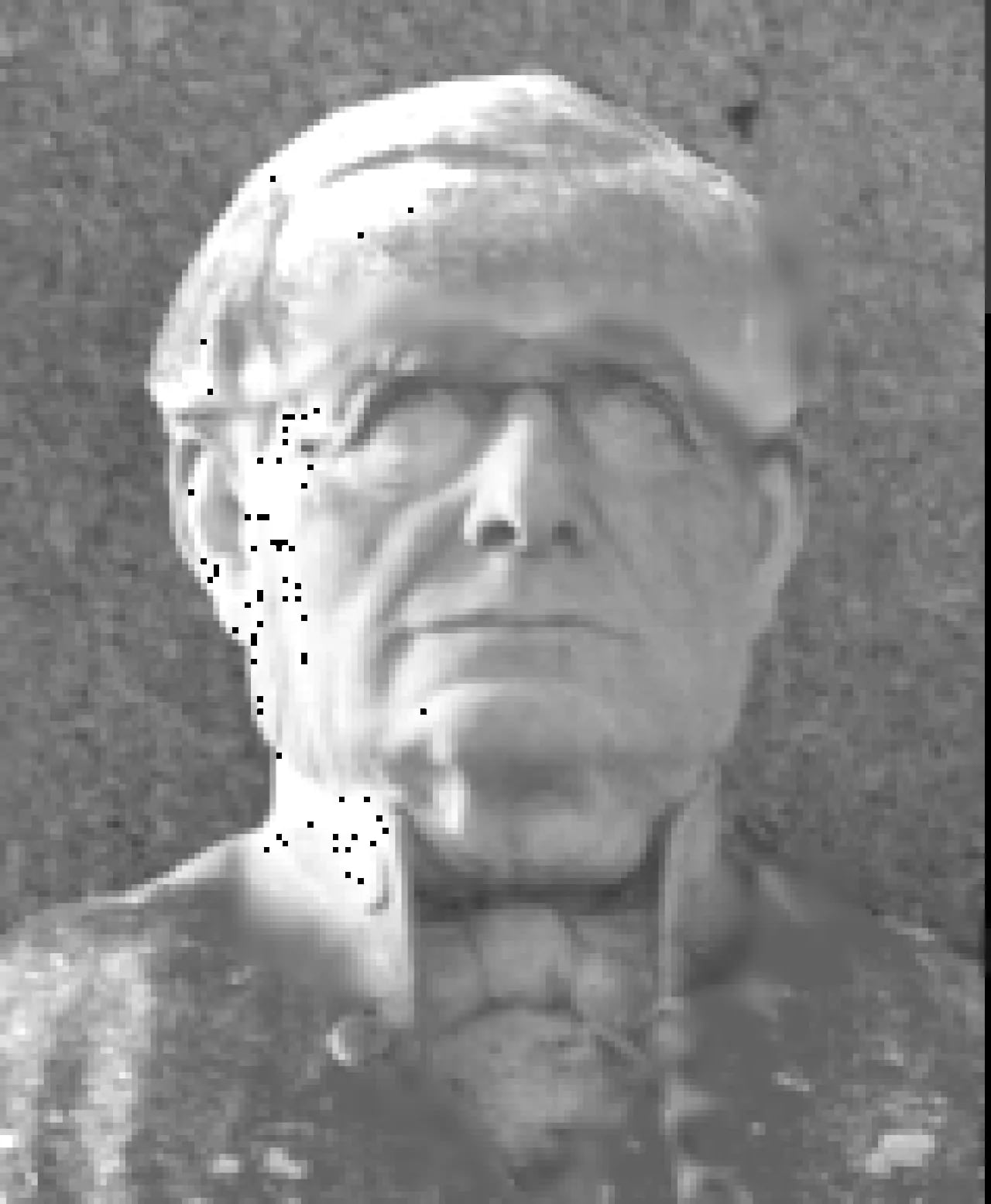 Portrait of Francesco Calcagno (1803–1880) – memorial page