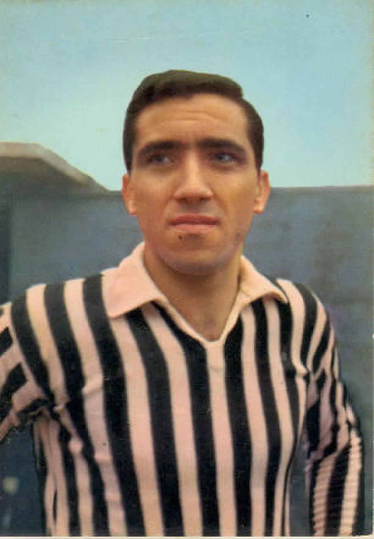 Portrait of Gaetano Troja (1944–2023) – memorial page