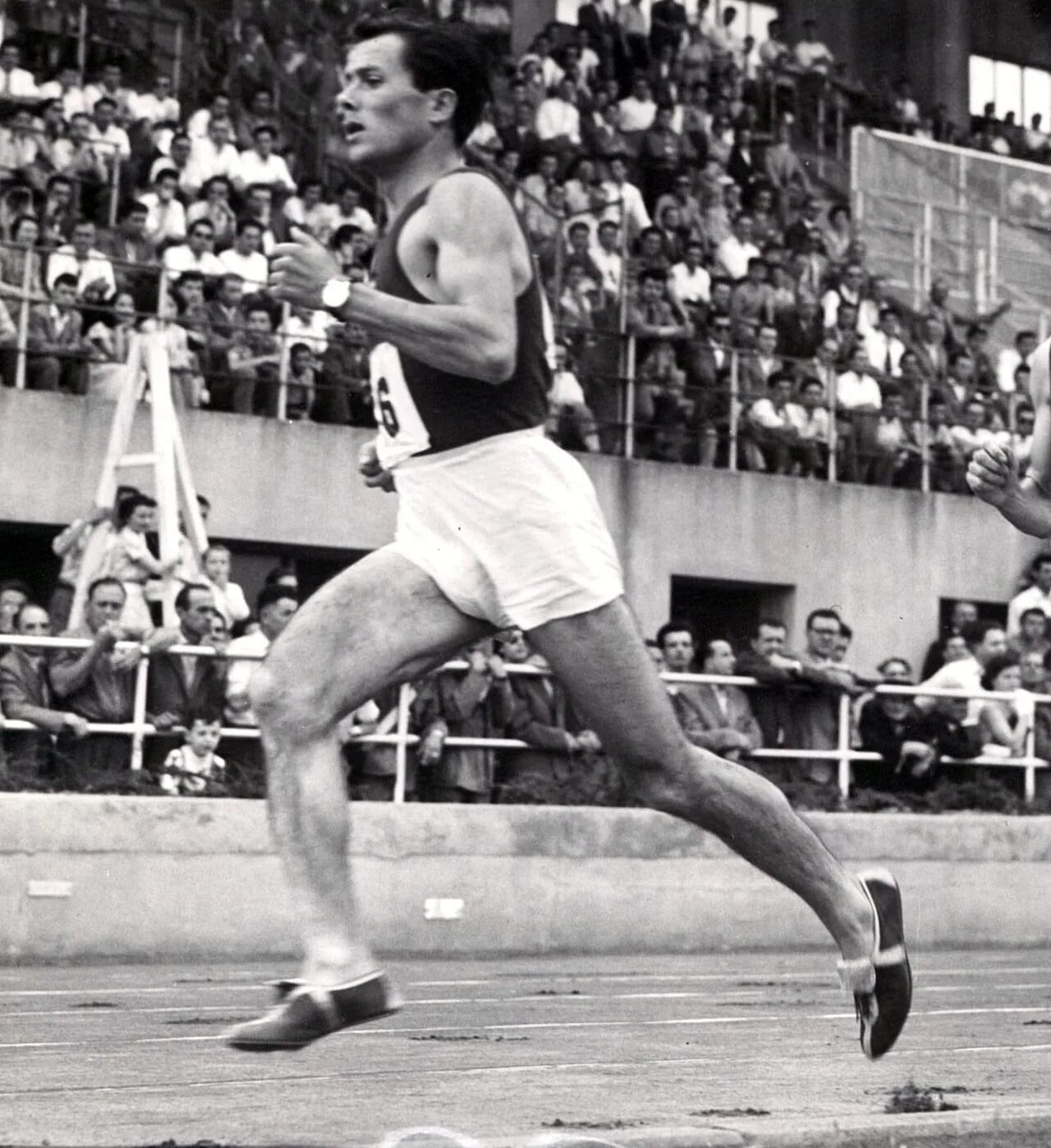 Porträt von Giacomo Peppicelli (1928–2011) – Gedenkseite