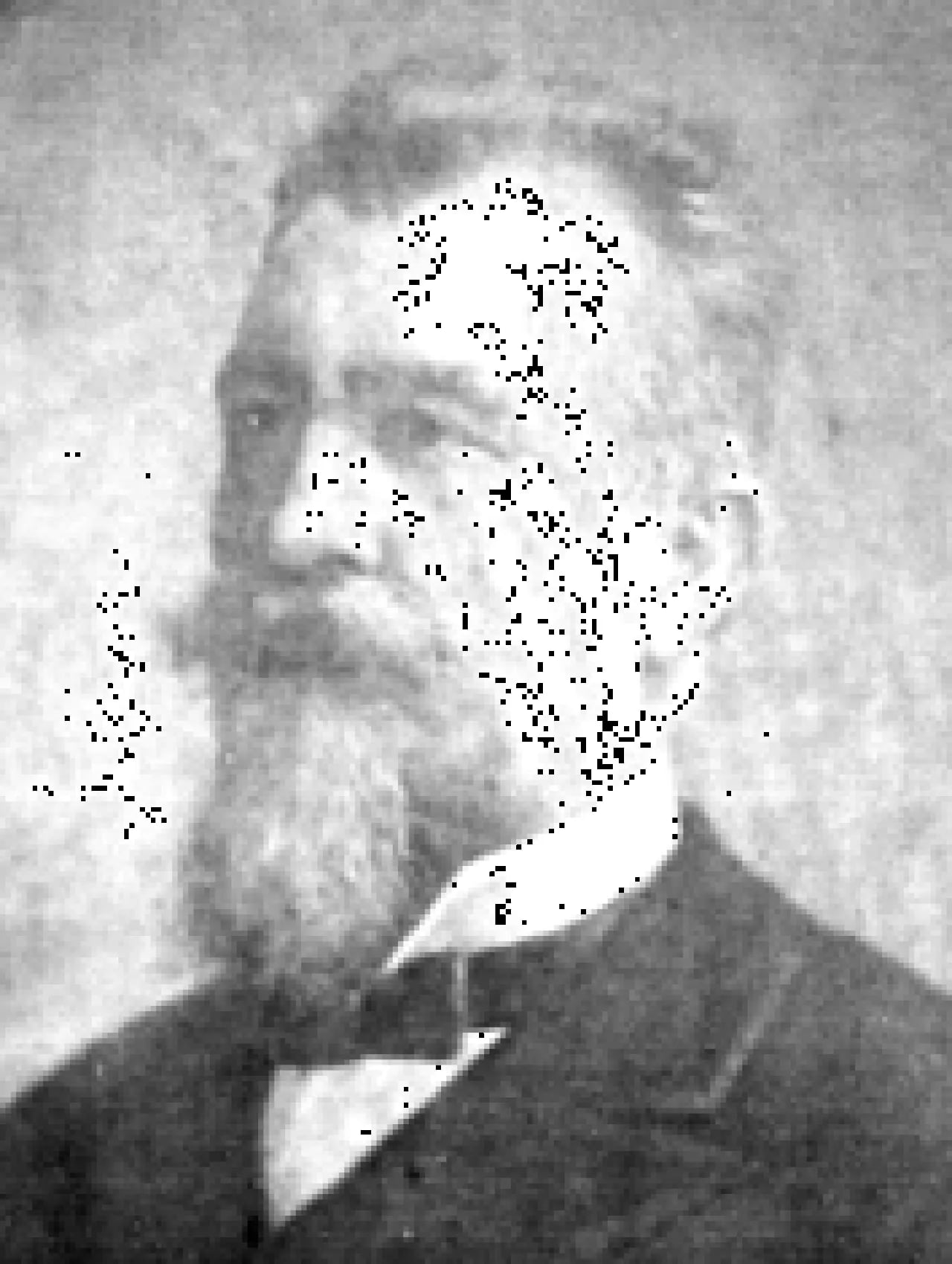 Portrait of Giulio Frisari (1827–1906) – memorial page
