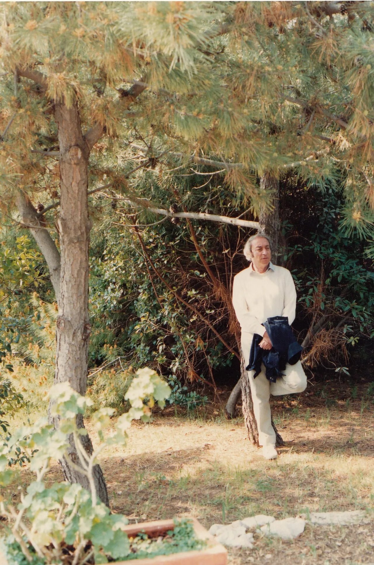 Portrait of Giuseppe Cassieri (1926–2008) – memorial page