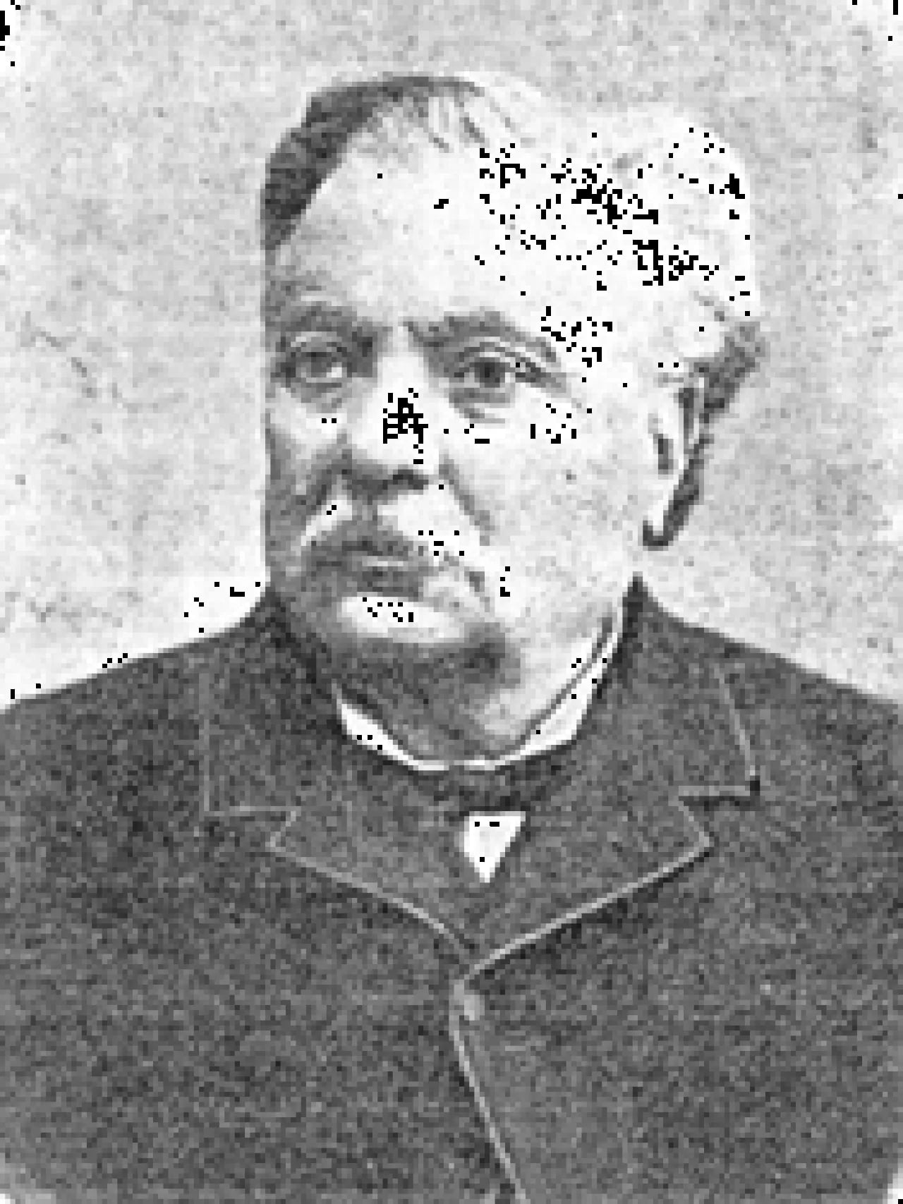 Porträt von Giuseppe Devincenzi (1814–1903) – Gedenkseite