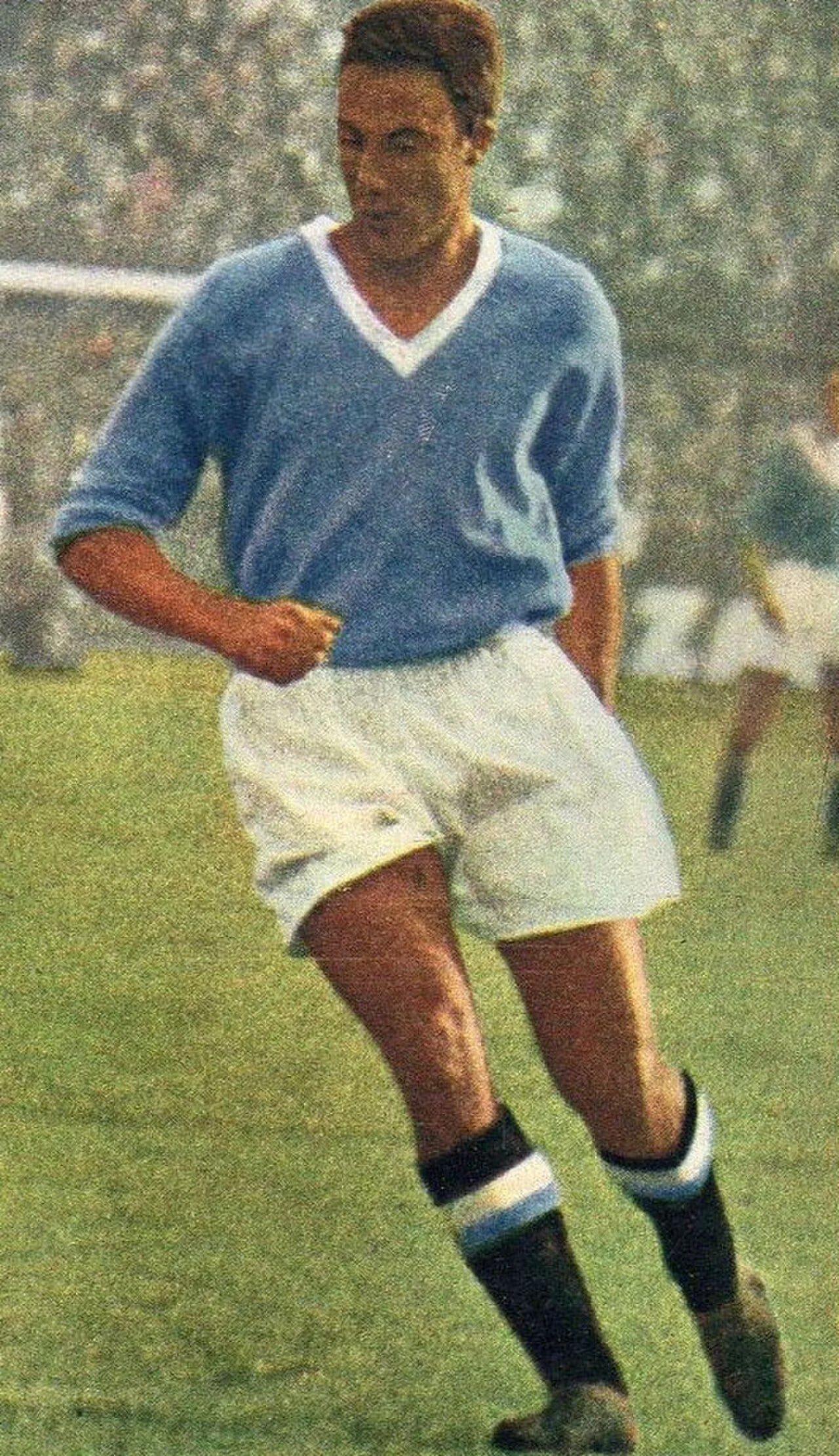 Portrait of Guglielmo Costantini (1934–2016) – memorial page
