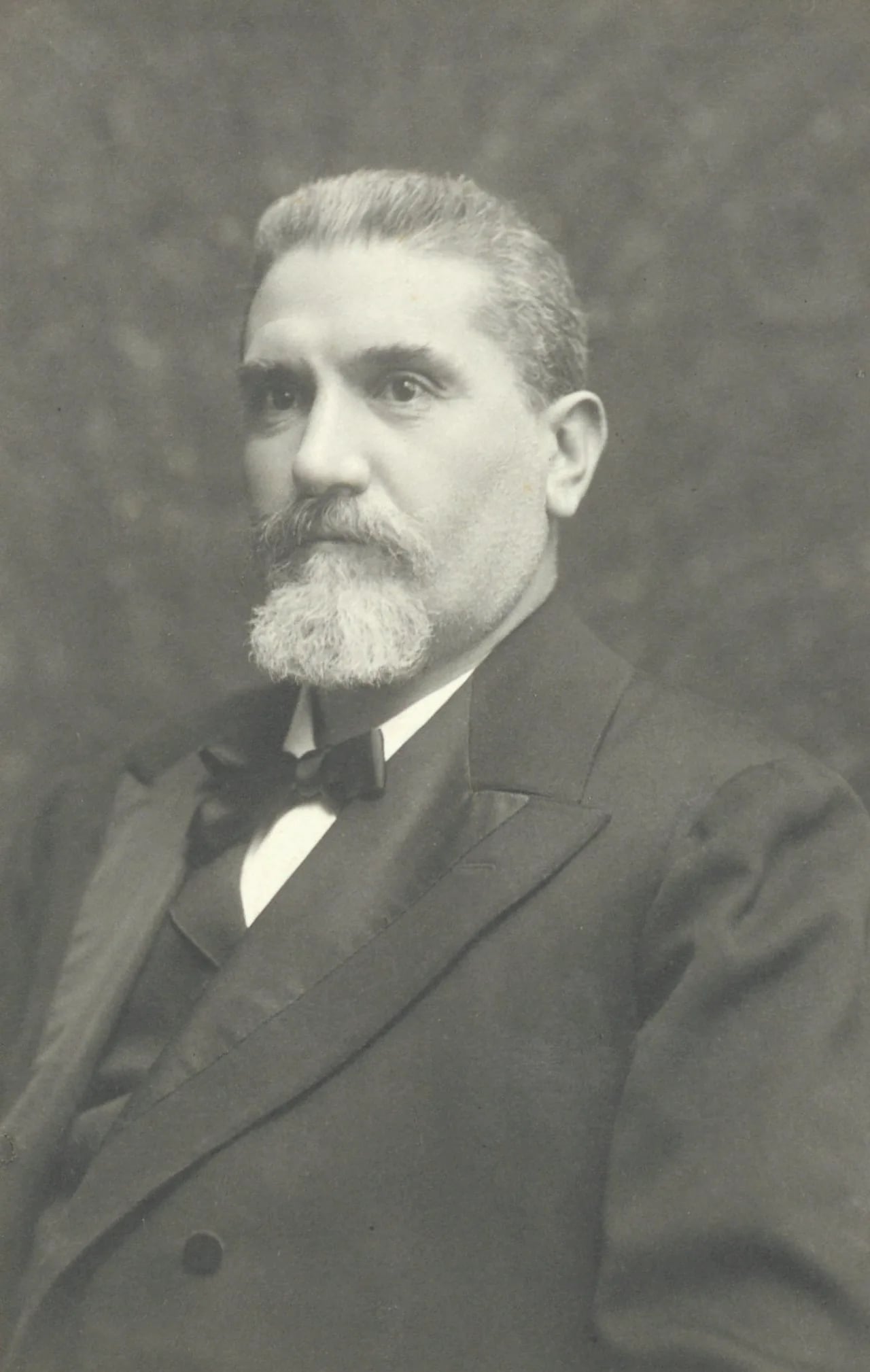 Portrait of Icilio Guareschi (1847–1918) – memorial page