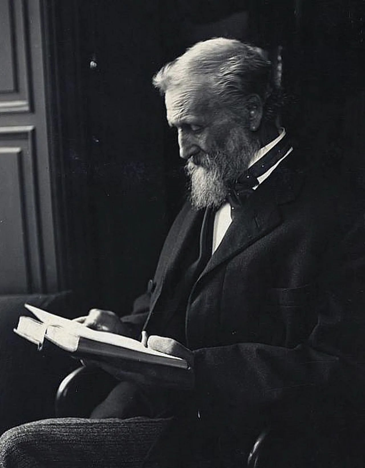 Porträt von John Muir (1838–1914) – Gedenkseite