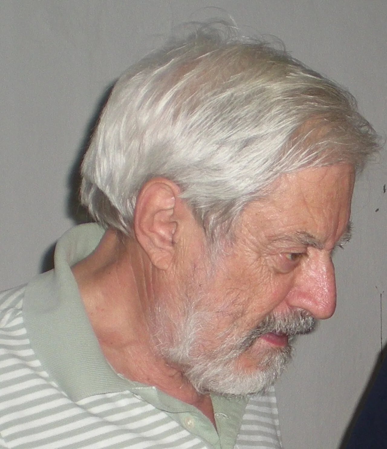 Porträt von Italo Insolera (1929–2012) – Gedenkseite