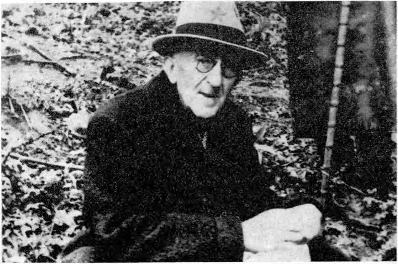 Portrait of Vladimir Nazor (1876–1949) – memorial page