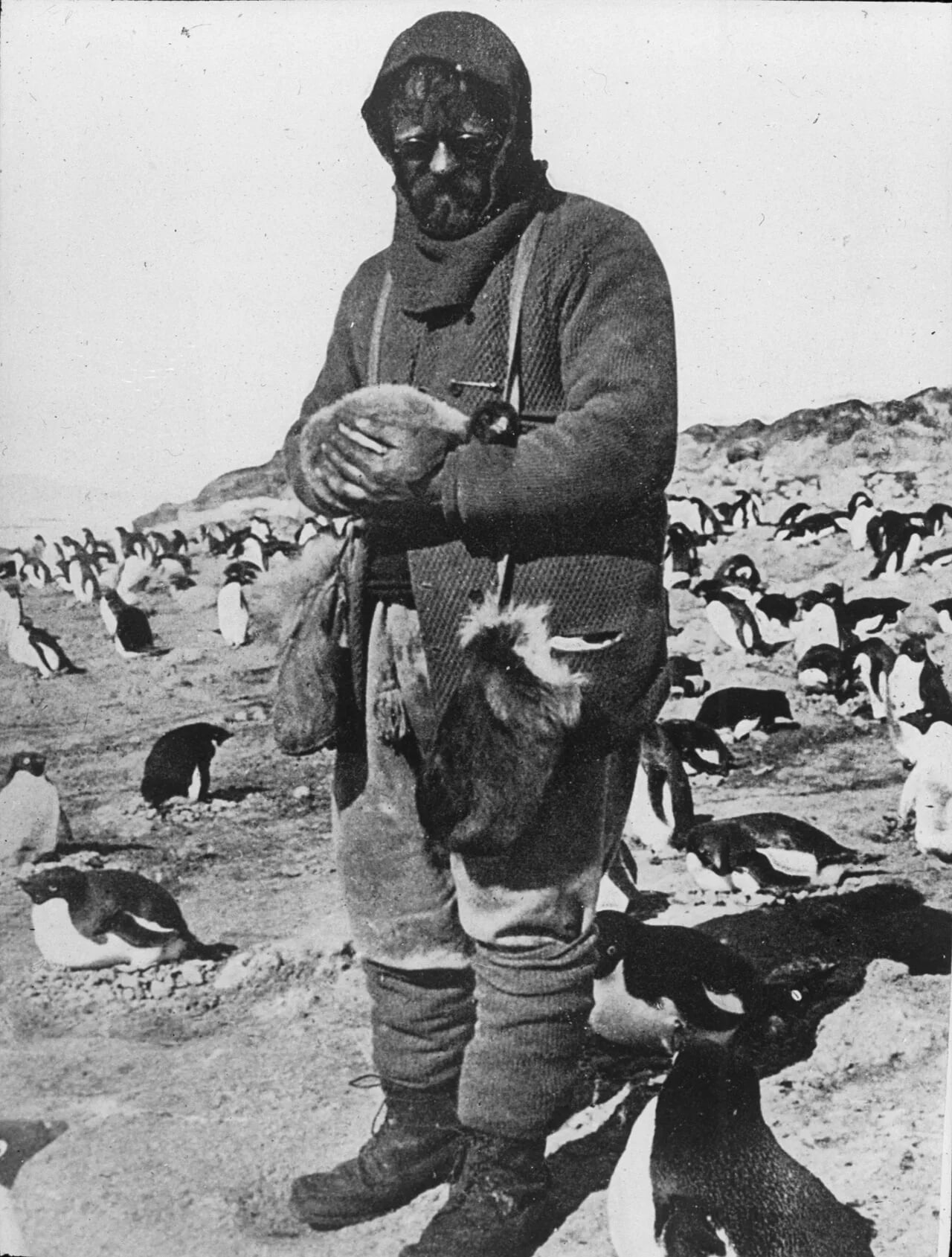 Portrait of James Murray (1865–1914) – memorial page
