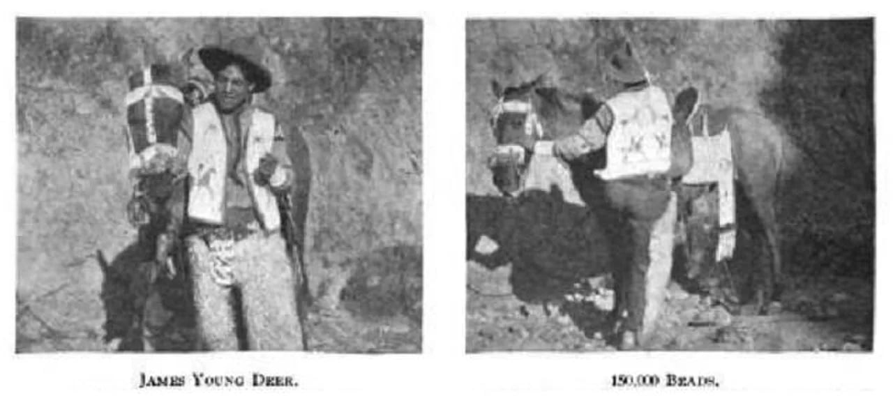 Portrait of James Young Deer (1876–1946) – memorial page