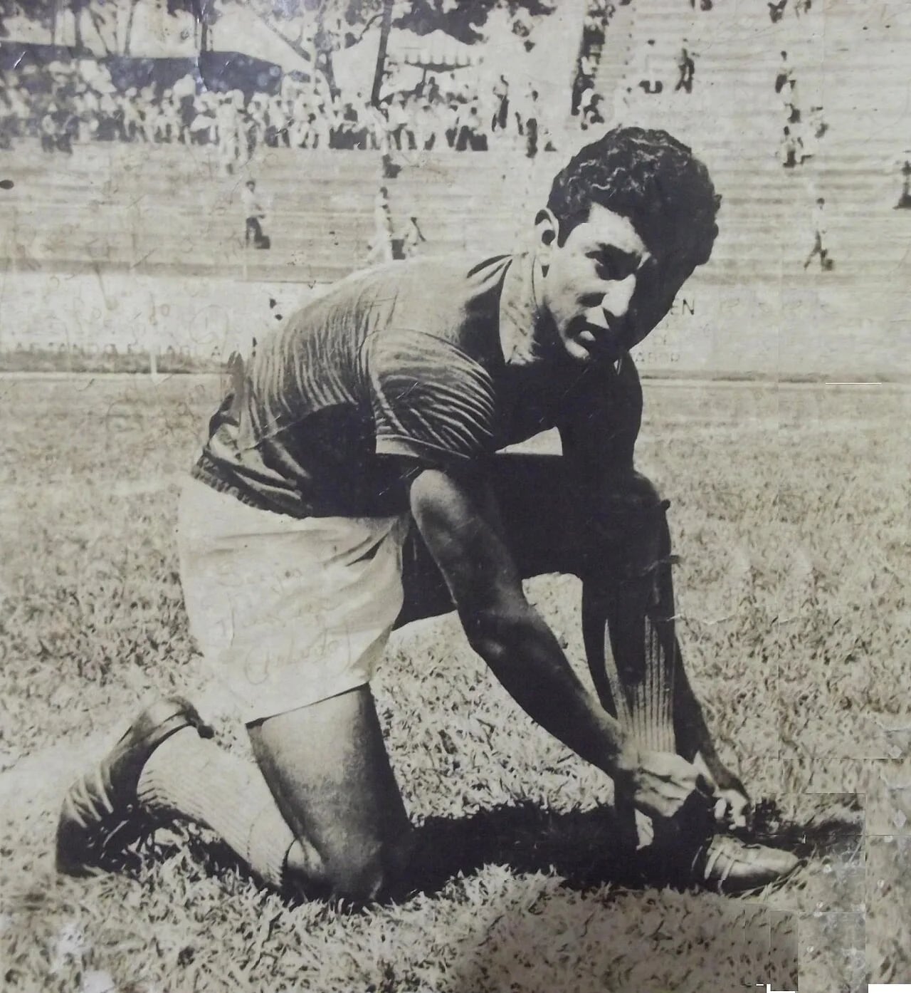 Portrait of Sergio Méndez (1943–1976) – memorial page