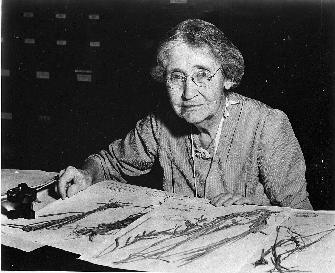 Porträt von Mary Agnes Chase (1869–1963) – Gedenkseite