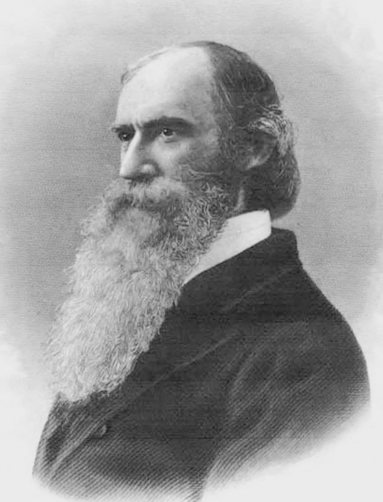 Porträt von John Strong Newberry (1822–1892) – Gedenkseite
