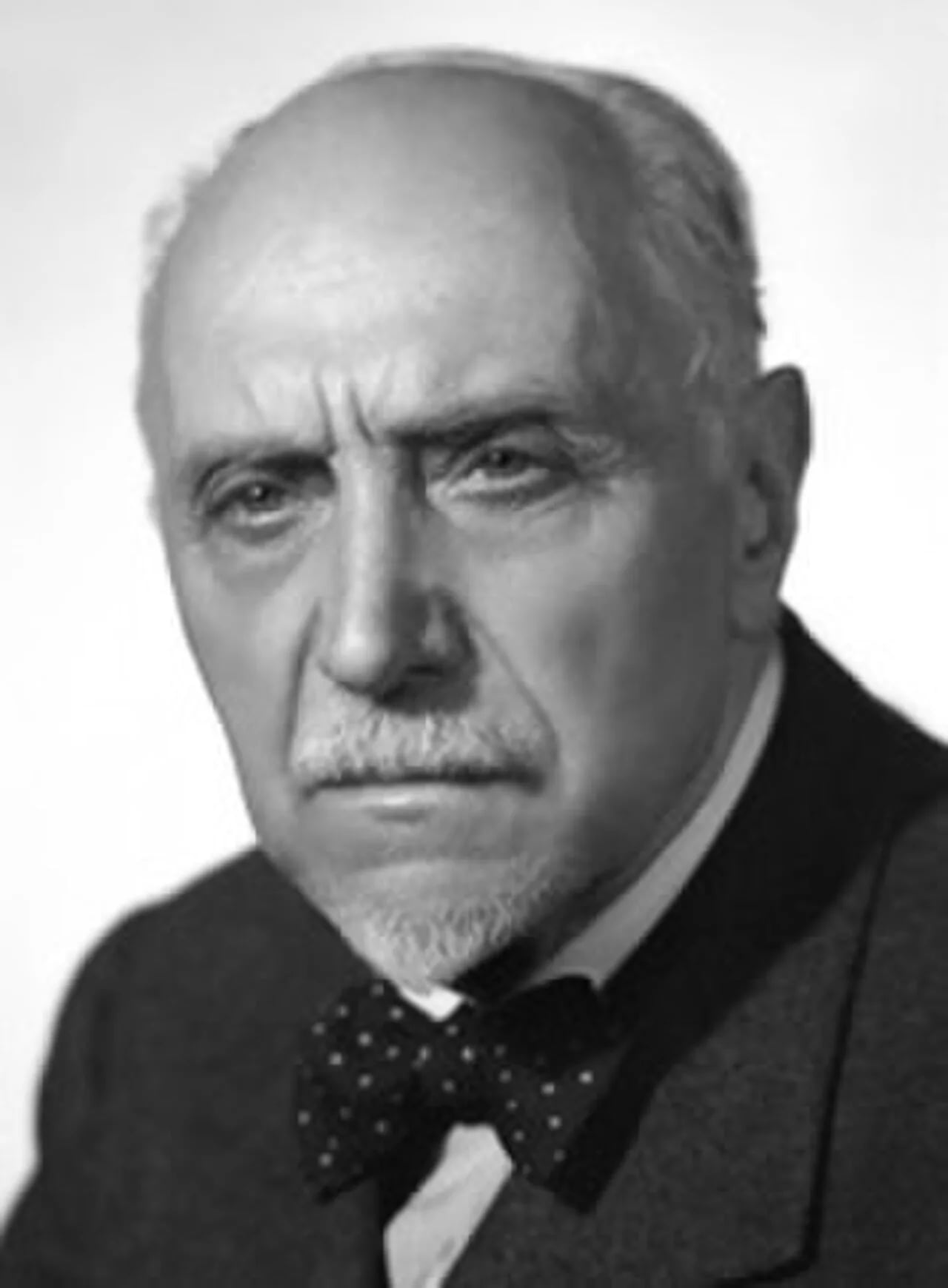 Portrait of Luigi Gasparotto (1873–1954) – memorial page