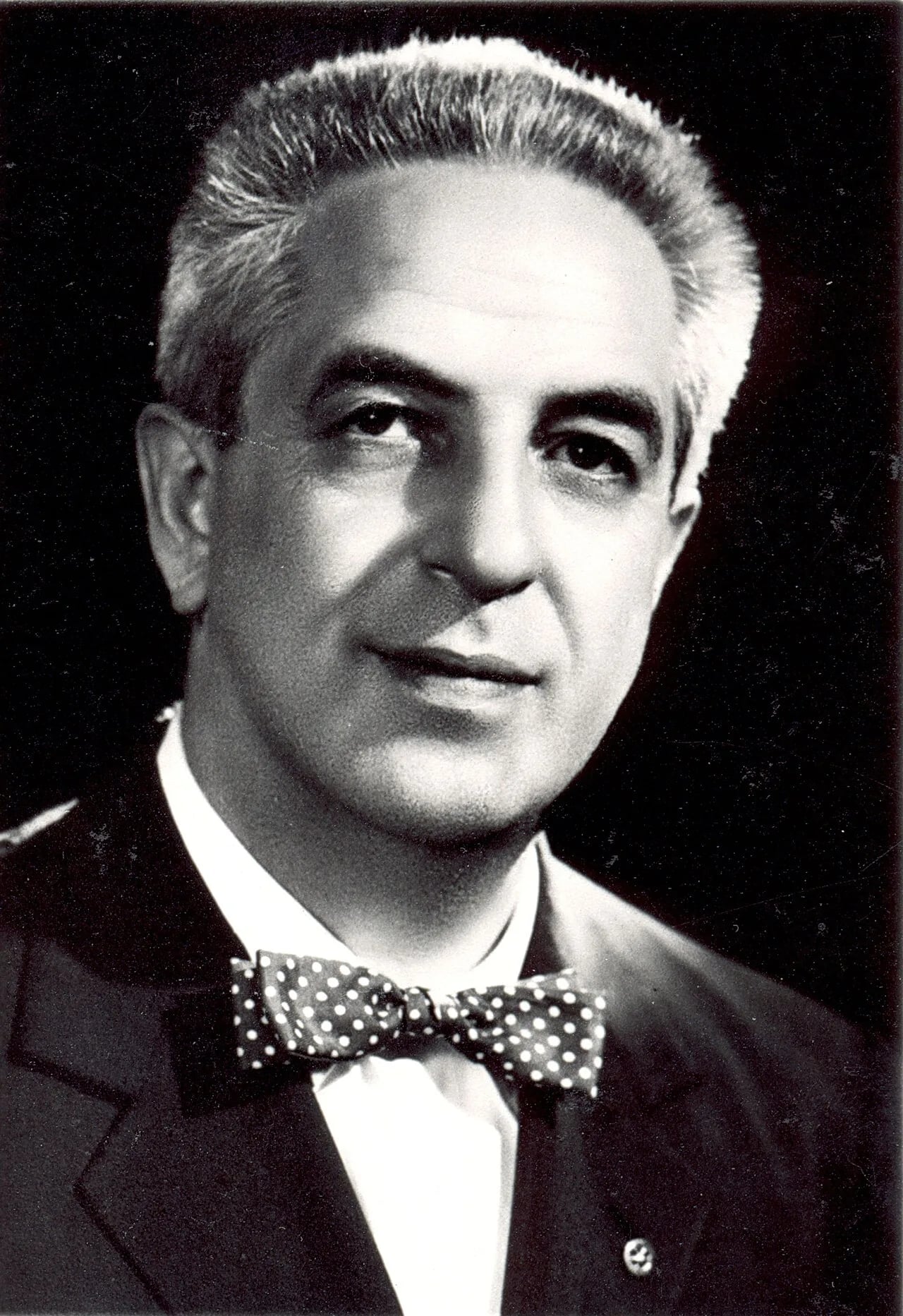Portrait of Mario Pavesi (1909–1990) – memorial page
