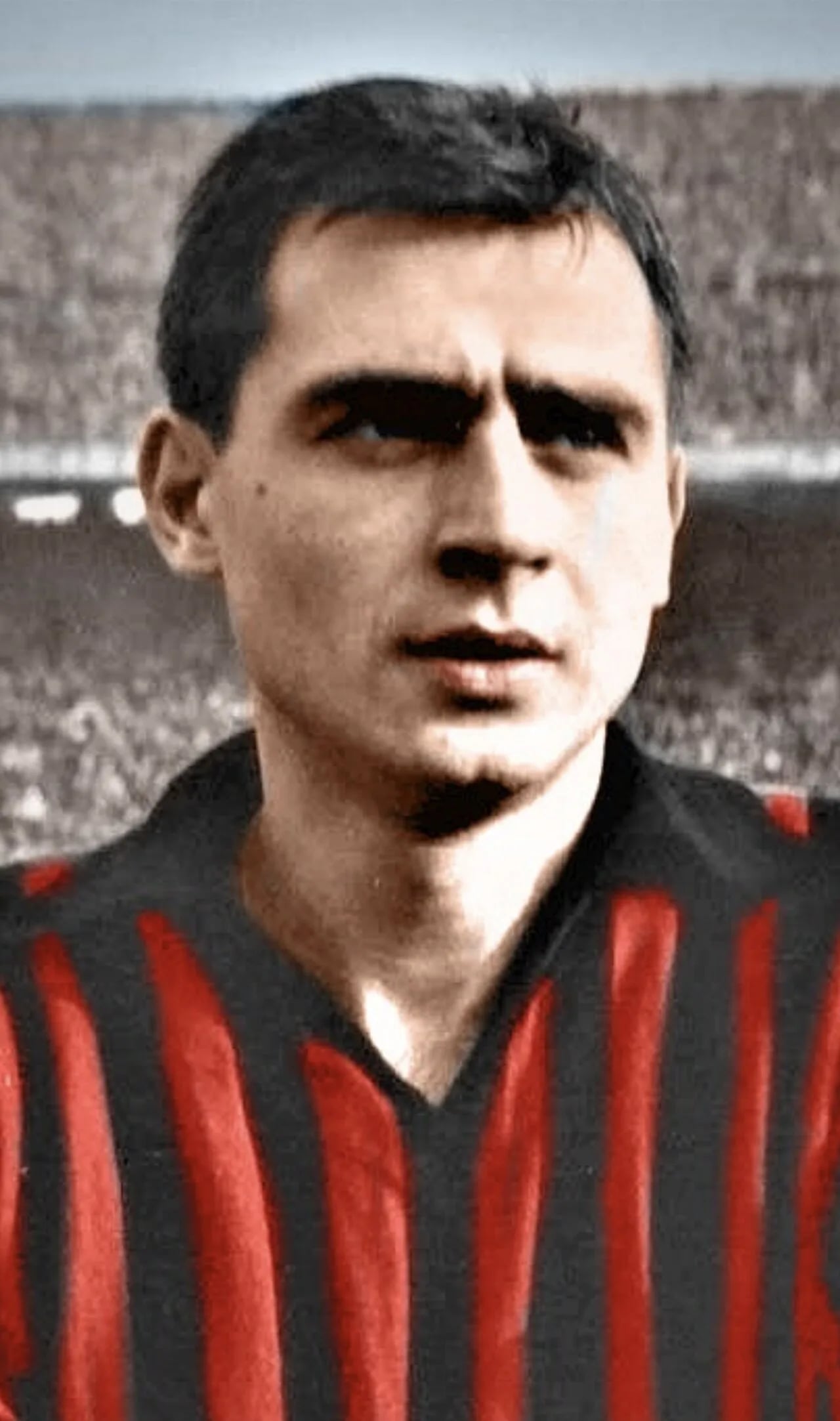 Portrait of Mario Trebbi (1939–2018) – memorial page
