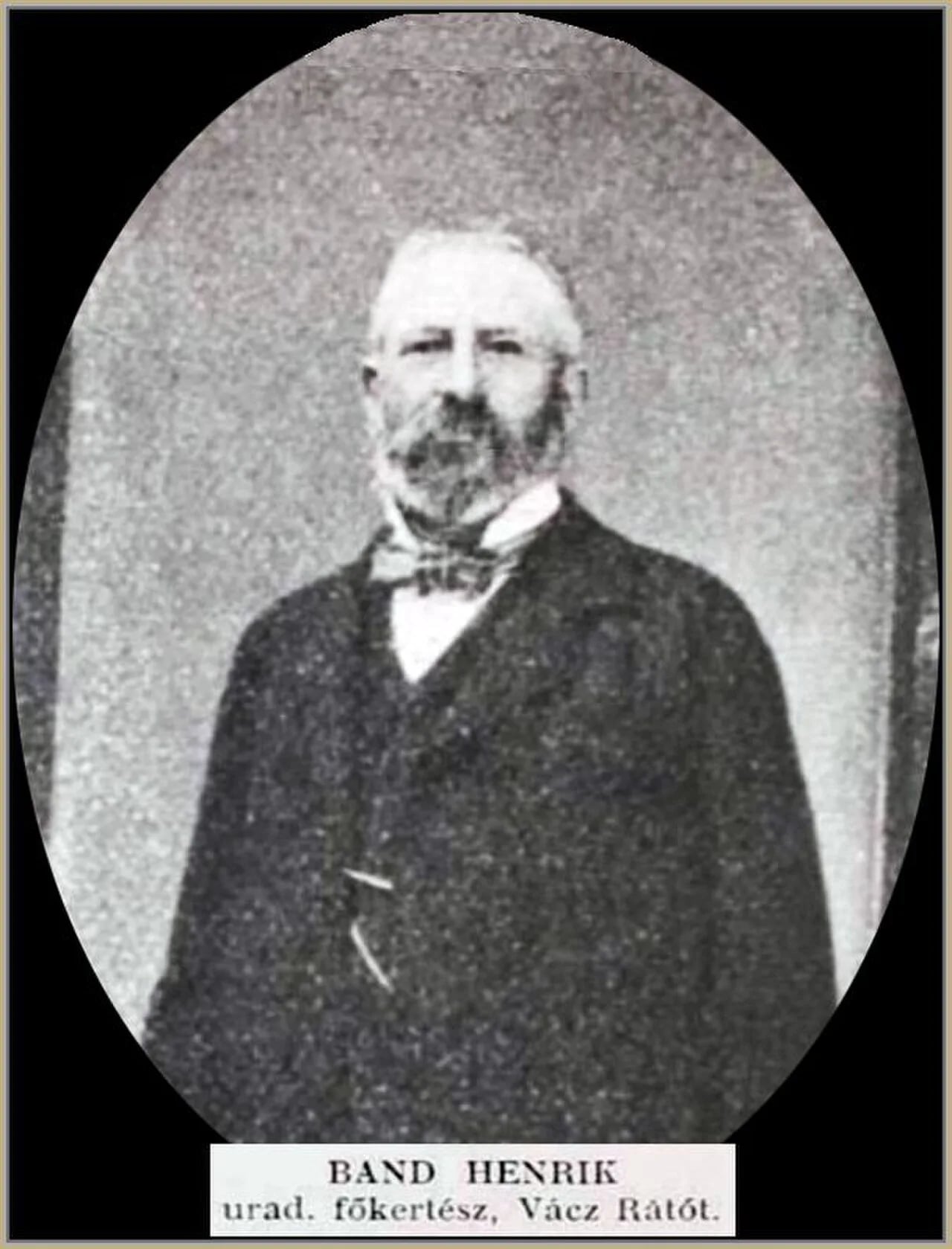 Porträt von Henrik Band (1841–1913) – Gedenkseite