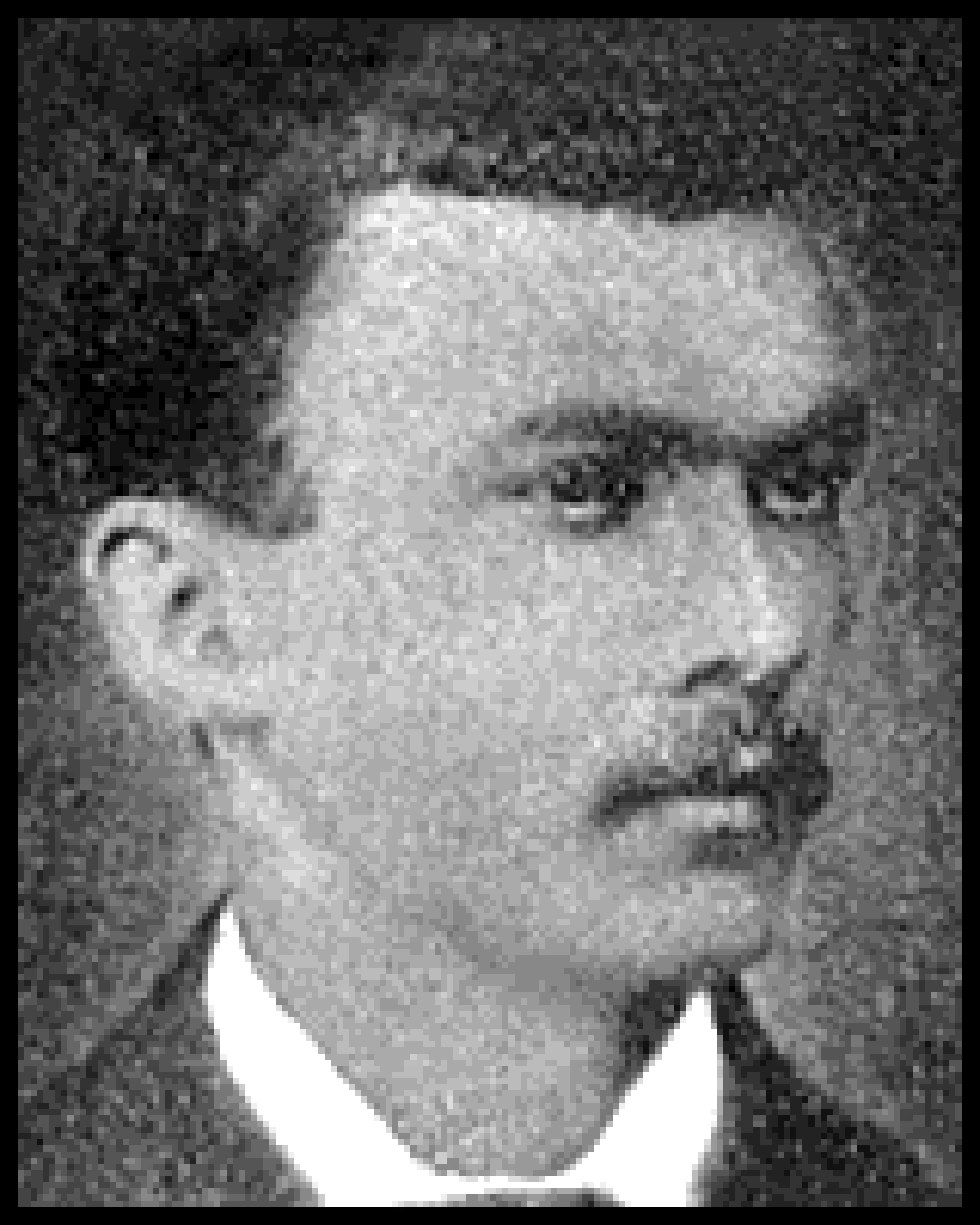 Porträt von Adelino Fontoura (1859–1884) – Gedenkseite