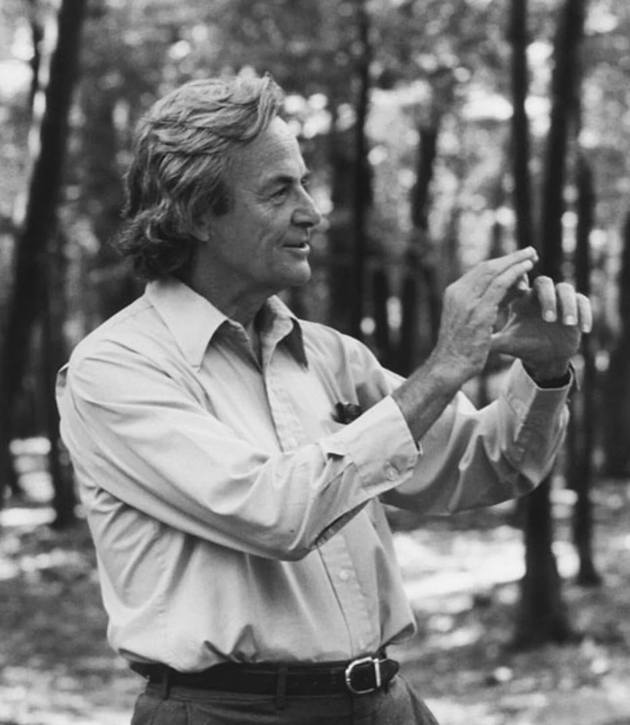 Portrait of Richard Feynman (1918–1988) – memorial page