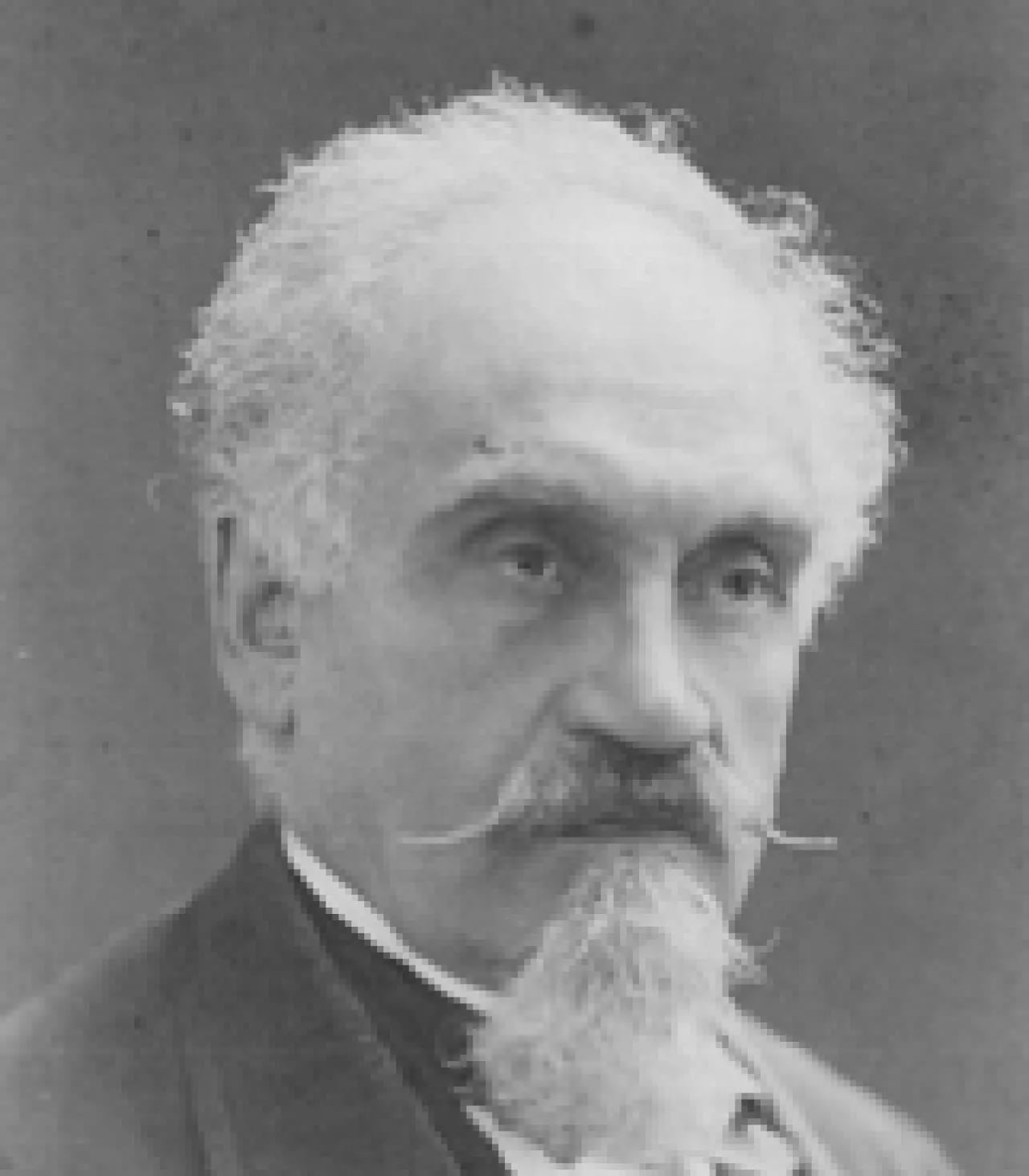 Porträt von Salvatore Tommasi (1813–1888) – Gedenkseite