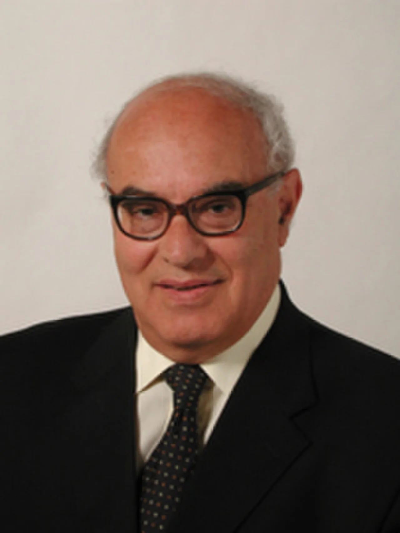 Porträt von Stefano Losurdo (1940–2013) – Gedenkseite